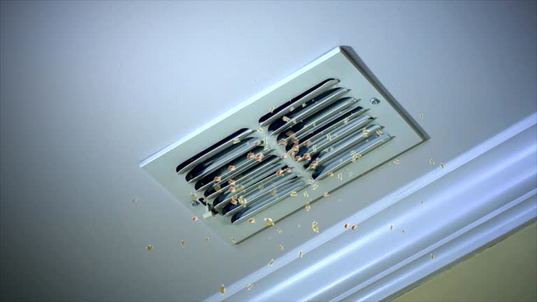 Best Air Vent Cleaning Services  in Ellisburg, NJ