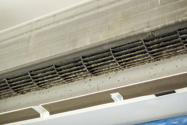 Best Affordable HVAC Duct Cleaning  in Ellisburg, NJ